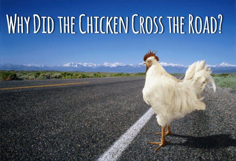 Chicken road españa, chicken road oficial