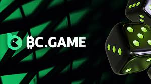 Understanding the BC.Game Mirror Login Process -697536276
